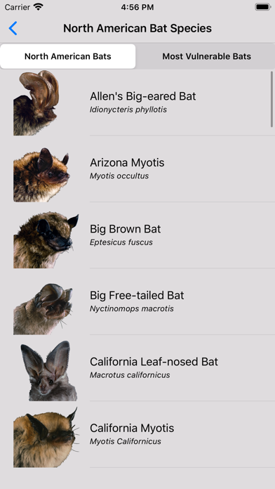 The Bat App screenshot 2