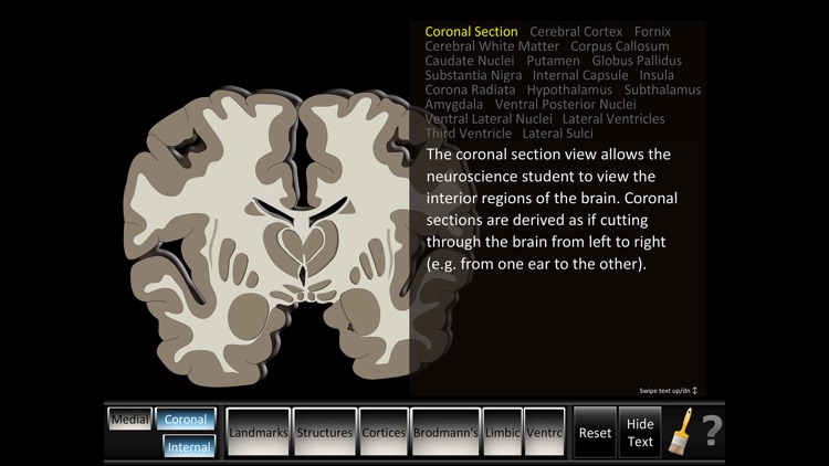 Cerebrum ID