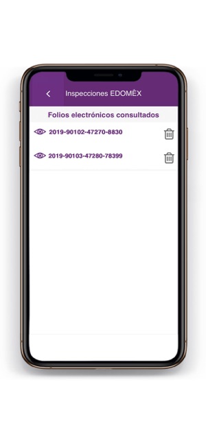 Inspecciones EDOMÉX(圖8)-速報App