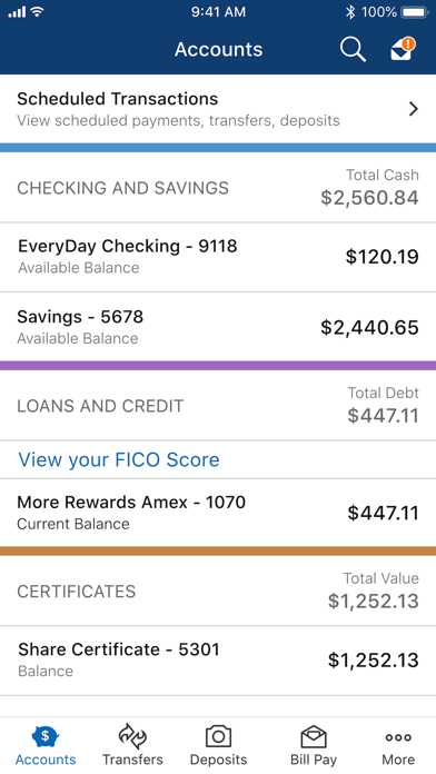 Navy Federal Credit Union Screenshot