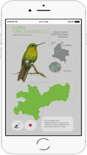 Tesoros alados screenshot 1