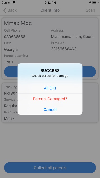 Gzavnili Delivery screenshot-4
