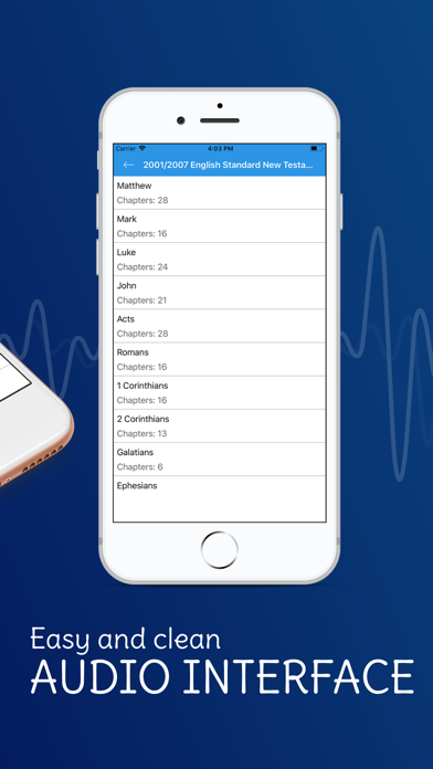 Audio Bible · screenshot 2