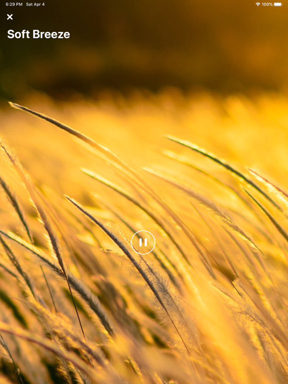 Screenshot #6 pour Sons pour dormir - sommeil