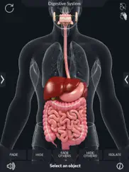 my digestive system anatomy ipad resimleri 3