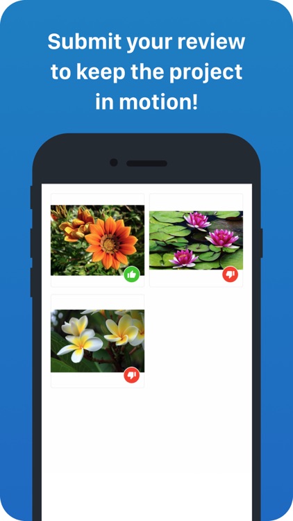 inMotion Review + Approval