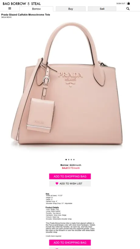 Bag Borrow or Steal