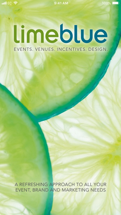 Lime Blue Solutions Ltd