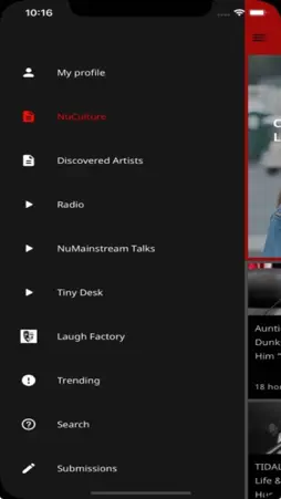 NuMainstream screenshot 1