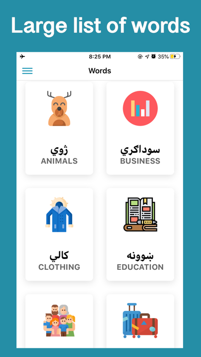 Learn Pashto Language screenshot 4