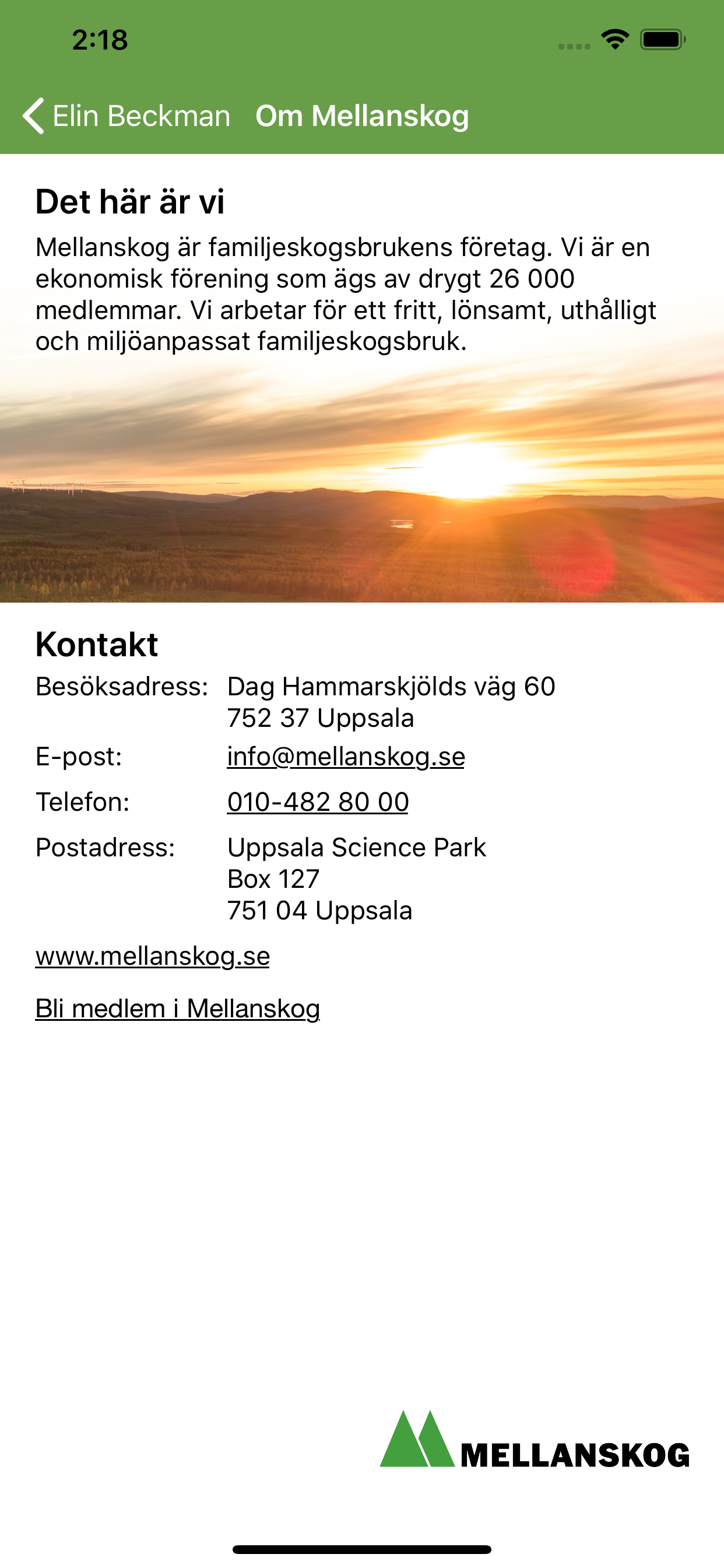 Mellanskog