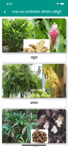 Game screenshot Mero Swasthya Mero Jimmevari hack