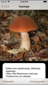 Skærmbillede