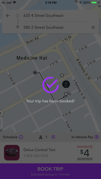 Deluxe Central Taxi Screenshot