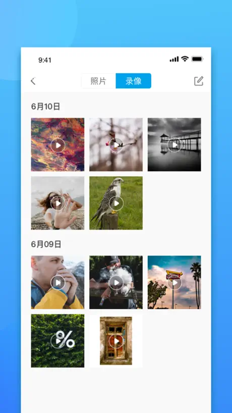 淘得樂集運
