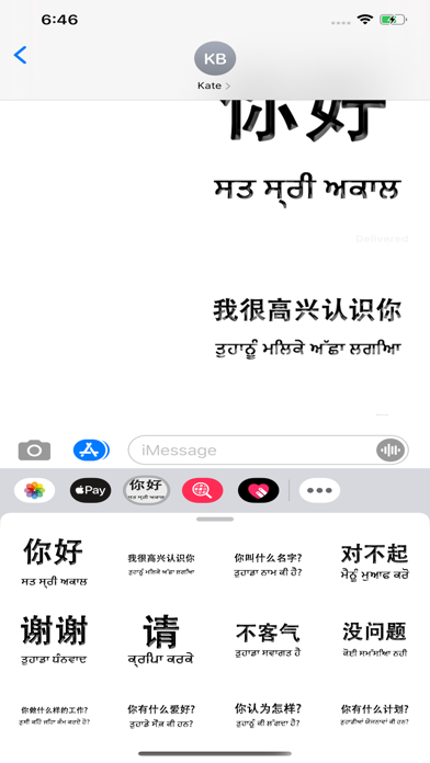 Punjabi Chinese screenshot 4