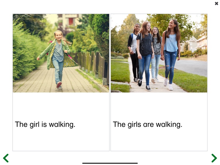 See and Learn Sentences 1