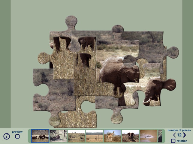 African Wildlife Puzzles