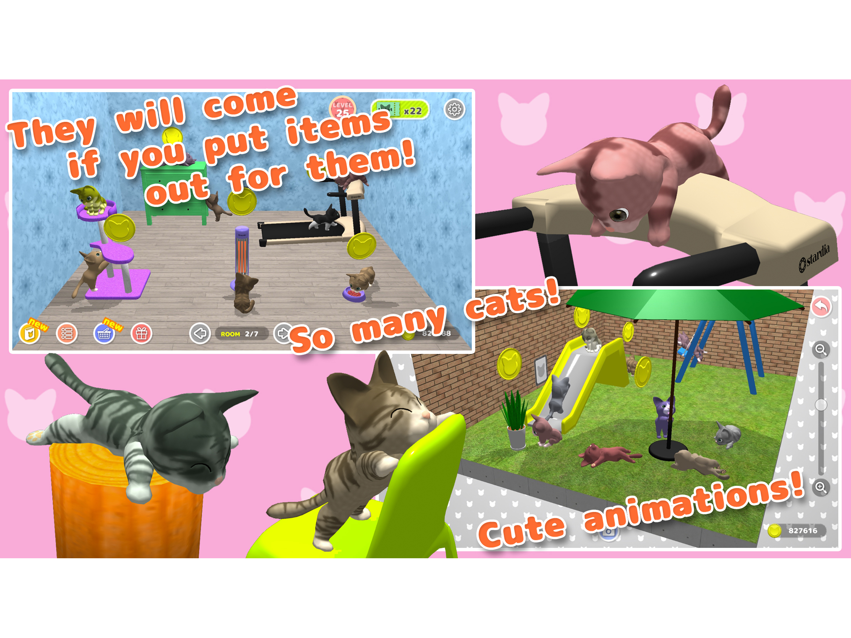 Cat Collect