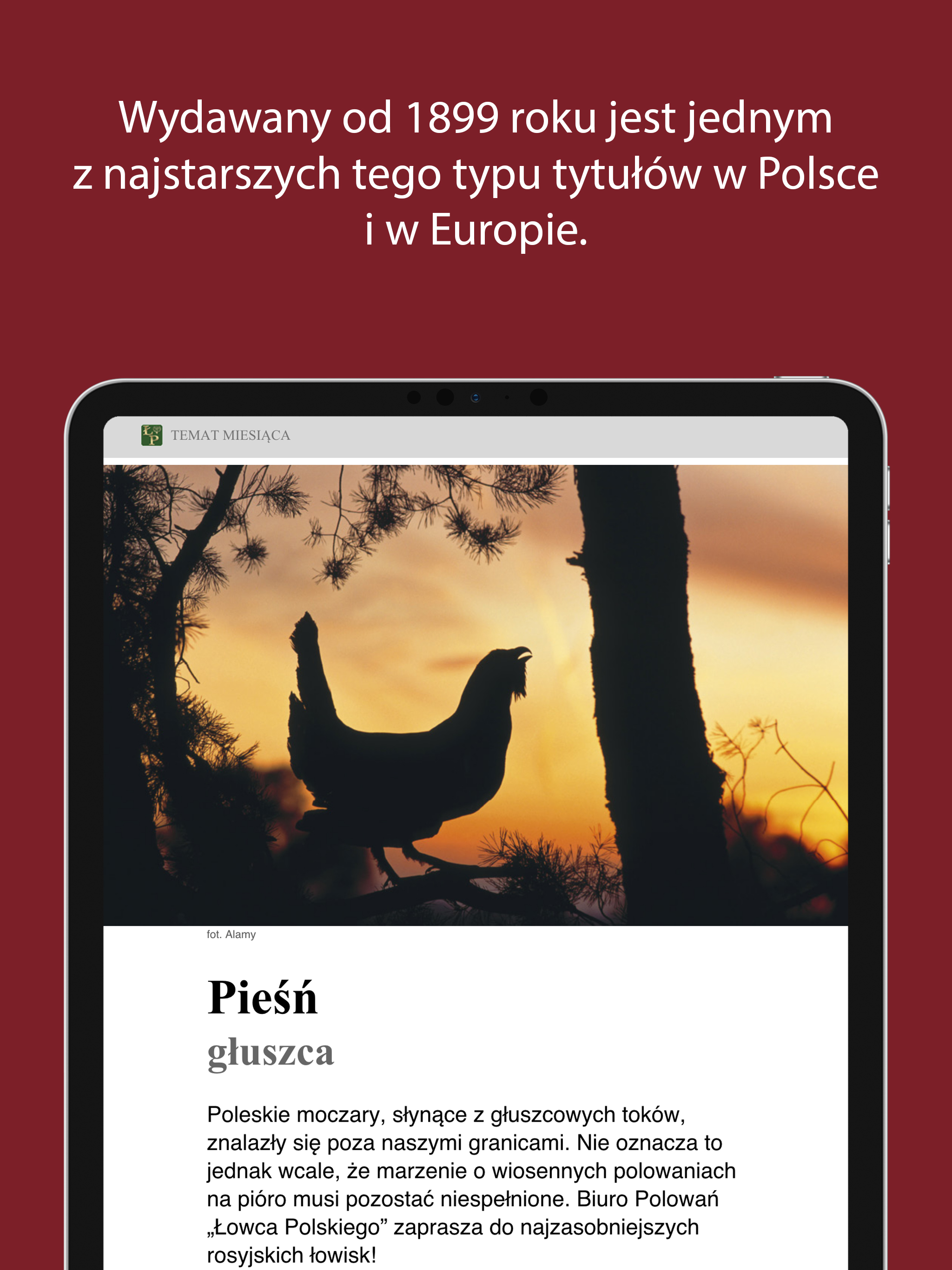 Łowiec Polski