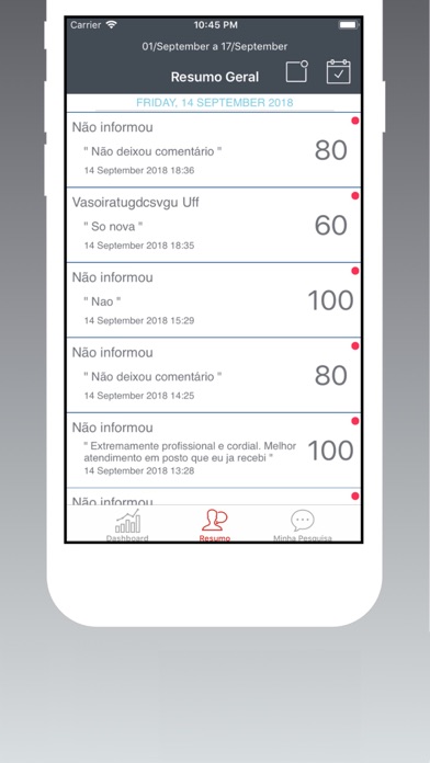 RAV Pesquisa Screenshot