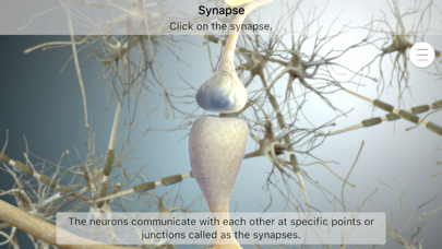 Brainapse Screenshot