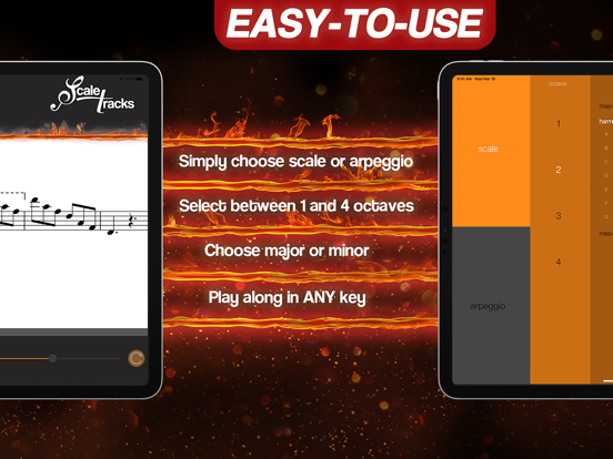 Screenshot #5 pour ScaleTracks