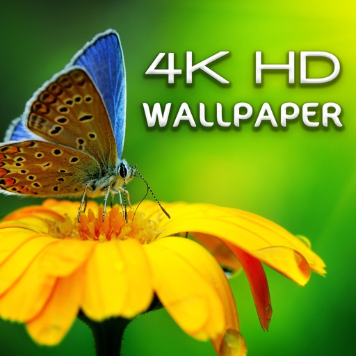 HD Wallpapers - 4K UltraHD