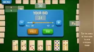 42 Dominoes screenshot 2