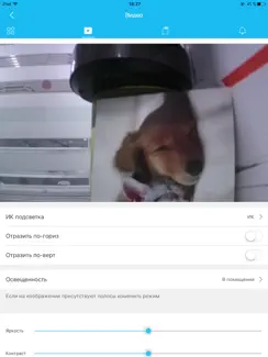 GreenCam iPad image 3