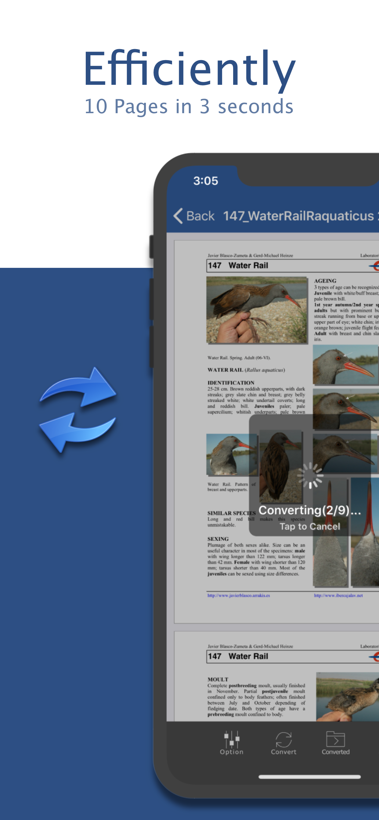 PDF to Word by Flyingbee