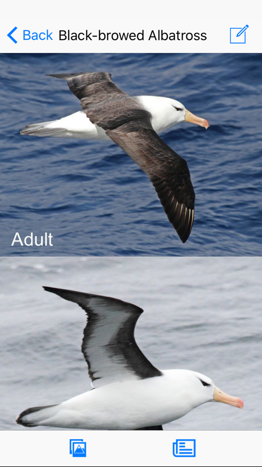 #1. Antarctic Wildlife Guide (iOS) Podle: mydigitalearth.com