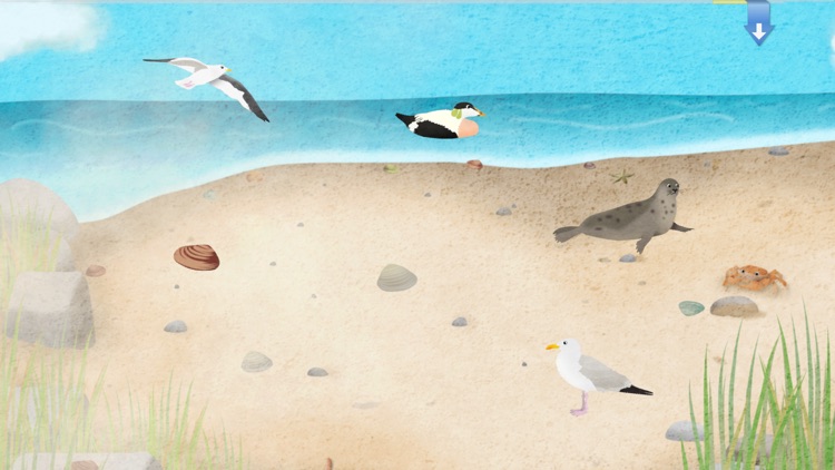 Nature-Stickers screenshot-4