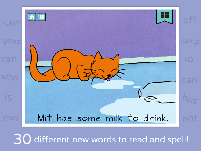 Bob Books Reading Sight Words