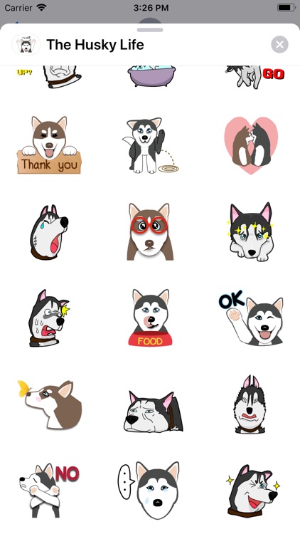 The Husky Life screenshot-4