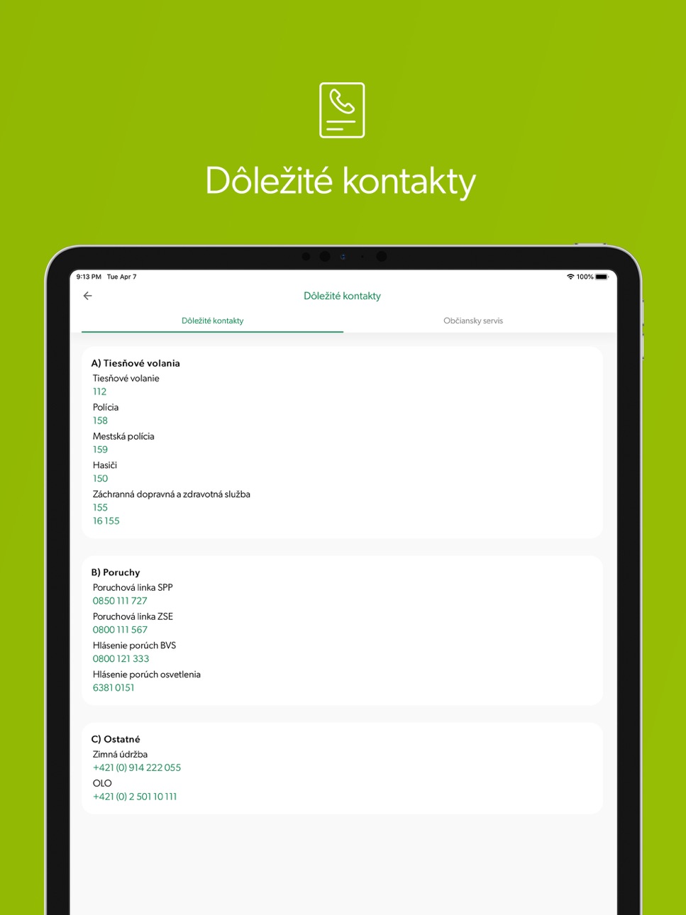 iPad screenshot