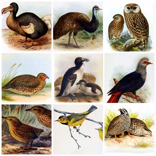 Extinct Birds List