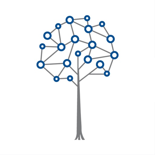 Despertar - Empreendedorismo