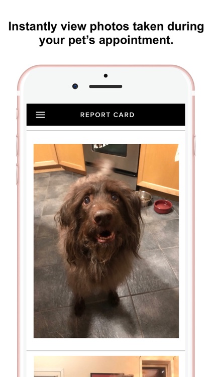 Sticks & Bones screenshot-4