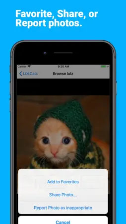 LOLCats - Funny Cat Pics screenshot 3