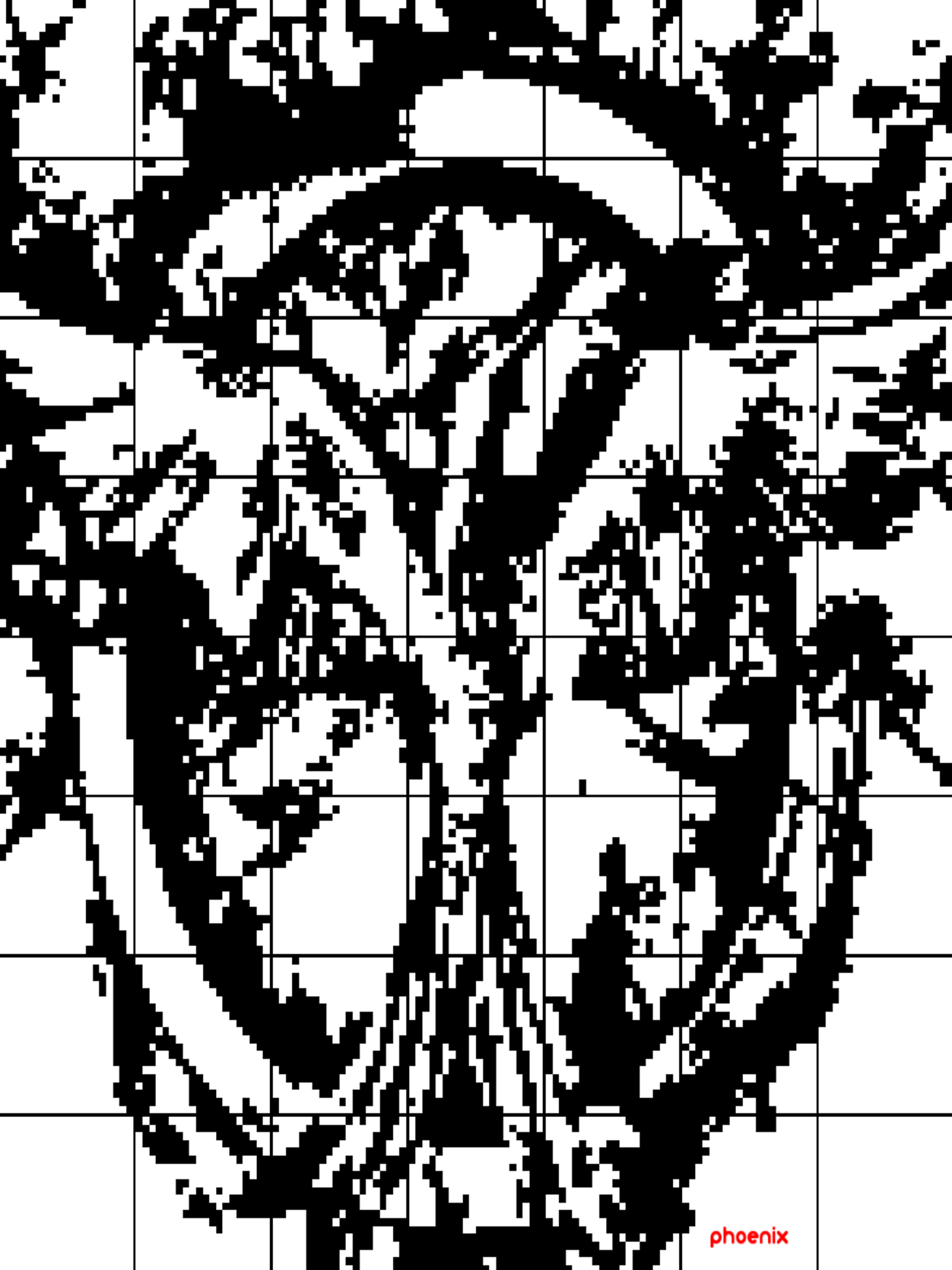 Nonogram 8
