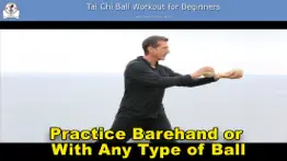 tai chi ball beginner iphone images 4
