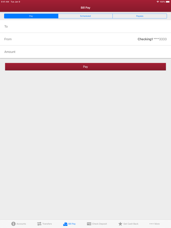MIT Federal Credit Union iPad screenshot 5 - Finance app