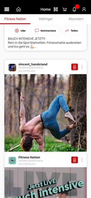 Vaihinger