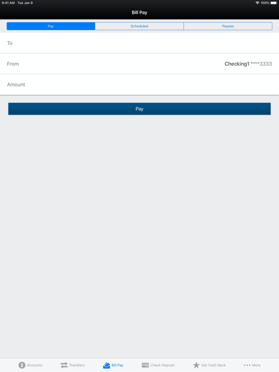 First Internet Bank Mobile iPad screenshot 5 - Finance app
