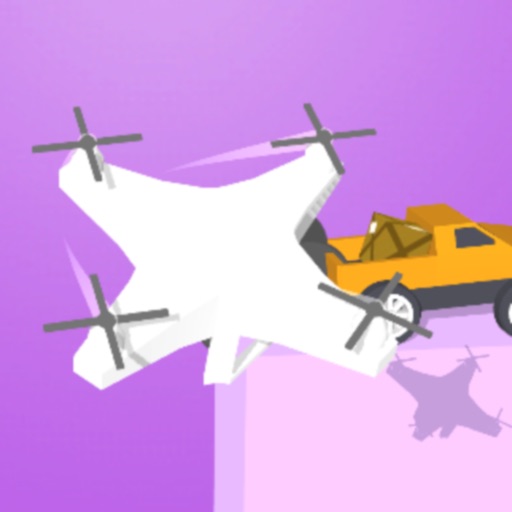 CarryDrone3D