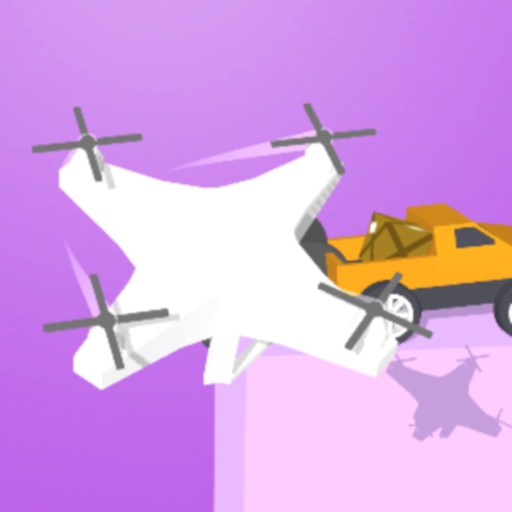 CarryDrone3D icon