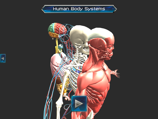 Screenshot #4 pour Human anatomy system & parts