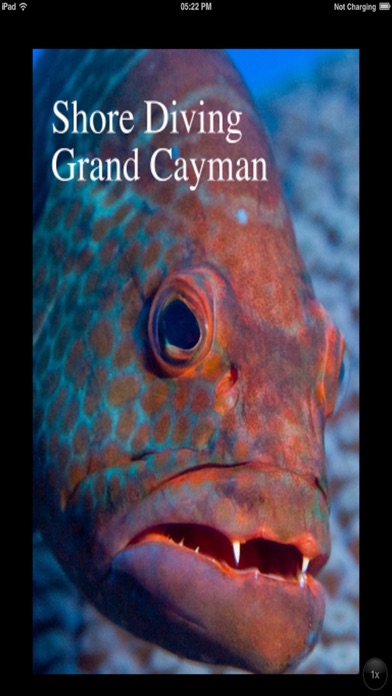 Pocket Tours-Cayman Screenshot
