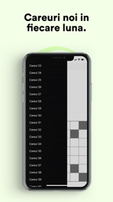 Rebus și Integrame: Careuri screenshot